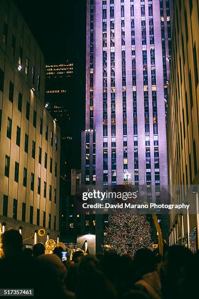 christmas tree and buildings - ロックフェラーセンターのクリスマスツリー ストックフォトと画像