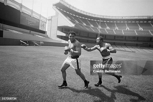 Boxer Ken Norton playfully chases World Heavyweight Boxing Champion Muhammad Ali in a game of tag across the field at Yankee Stadium. Norton lost the...