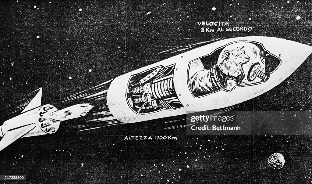 Artist's Sketch of First Space Traveling Dog