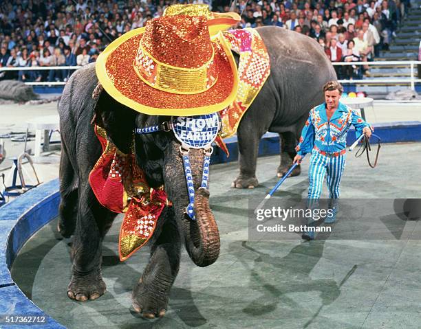 Cindy Dodge, performer with the Ringling Brothers Barnum & Bailey circus, rides an elephant.