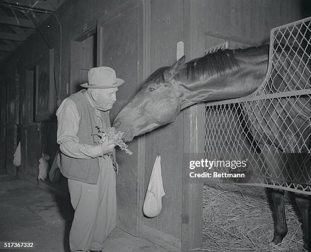 Trainer "Sunny" Jim Fitzsimmons, 80-year-old dean of the horse-conditioners, feeds a handful of chicory to his newest turf star, Nashua. The...