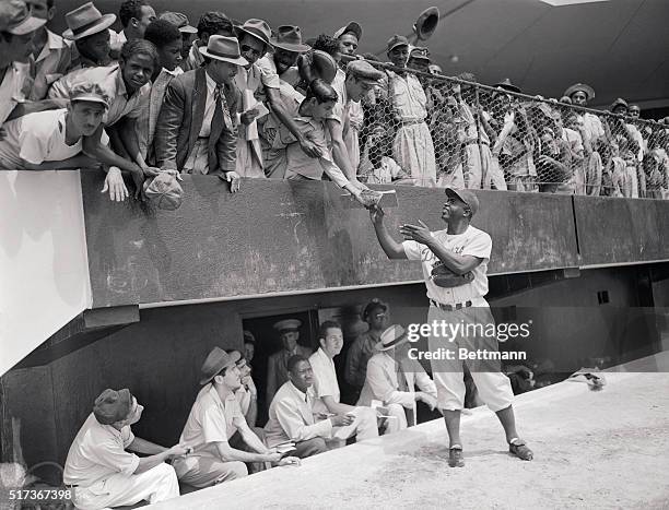 On his first day of spring training with the Brooklyn Dodgers here, Jackie Robinson, Negro first baseman, proved a prime favorite with San...