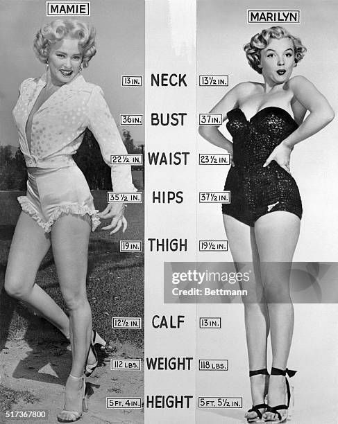 For comparison's sake, here's how Mamie Von Doren and Marilyn Monroe shape up. Mamie is a little shorter, and weighs a few pounds less. It can be...