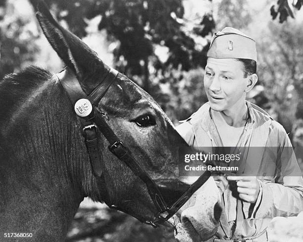 Donald O'Connor and Francis the Mule.