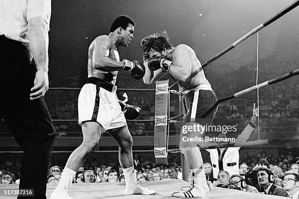 In a flash of rare form, Jerry Quarry drives Cassius Clay into the ropes during the second round of their 10/26 bout here.
