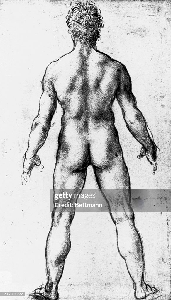 Drawing of a Nude Seen from Behind by Leonardo da Vinci