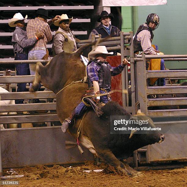 Bilac Rodeio Black Rodeo Photos and Premium High Res Pictures - Getty Images