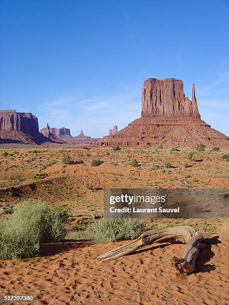 monument valley - laurent sauvel stock pictures, royalty-free photos & images