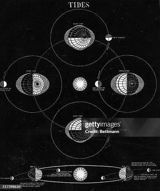 Illustration shows the tides caused by the cycles of the moon. Undated.