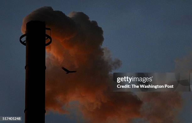 Three Rivers Refinery Valero Refinery Photos and Premium High Res Pictures - Getty Images