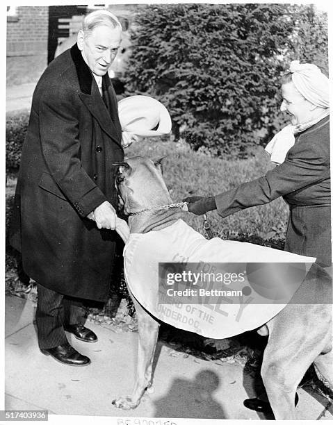 Dog Rooter 102 James M Curley Photos & High Res Pictures - Getty Images