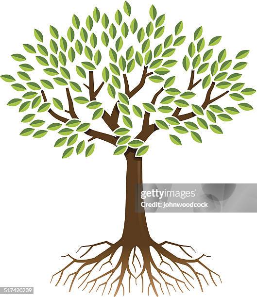 Little Roots Tree Neat Little Tree And Roots High-Res Vector Graphic - Getty Images