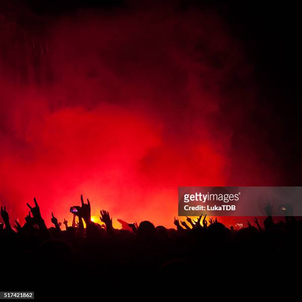 concert crowd - heavy metal stock pictures, royalty-free photos & images
