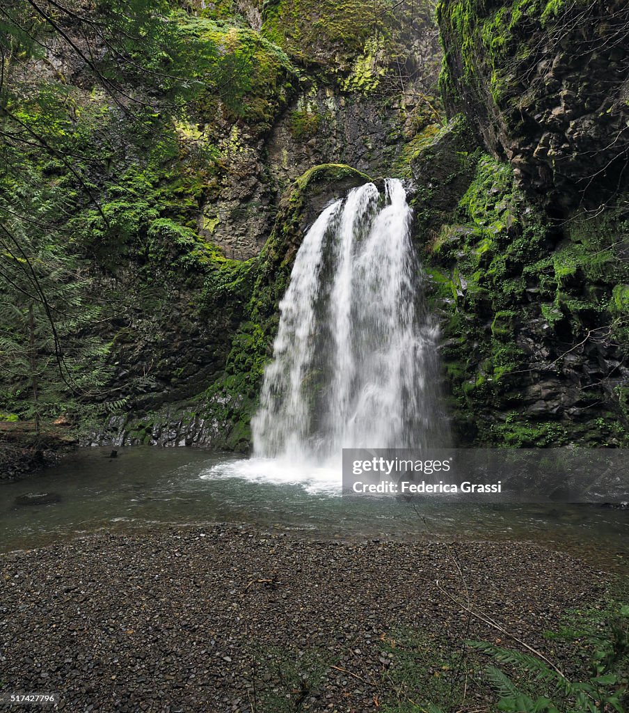 Fall Creek Falls, North Umpqua River, Oregon