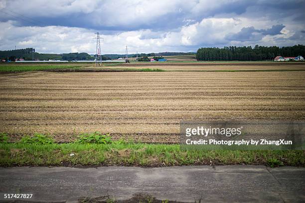 farmland of sapporo hokkaido with blue sky - intercalated disc stock pictures, royalty-free photos & images