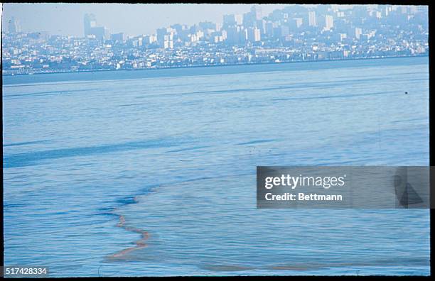 Sausalito, Ca.: Two oil tankers collided early January 18th under the Golden Gate Bridge spilling at least half a million gallons of fuel oil into...