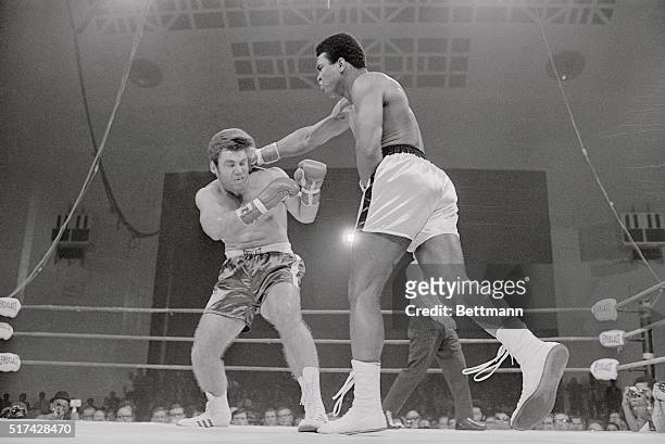 Cassius Clay scores with a vicious right to the head of Jerry Quarry in the third round of their scheduled 15 round bout here. Because of a bad cut...