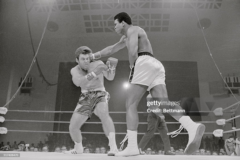 Cassius Clay Punching Jerry Quarry During Boxing Match