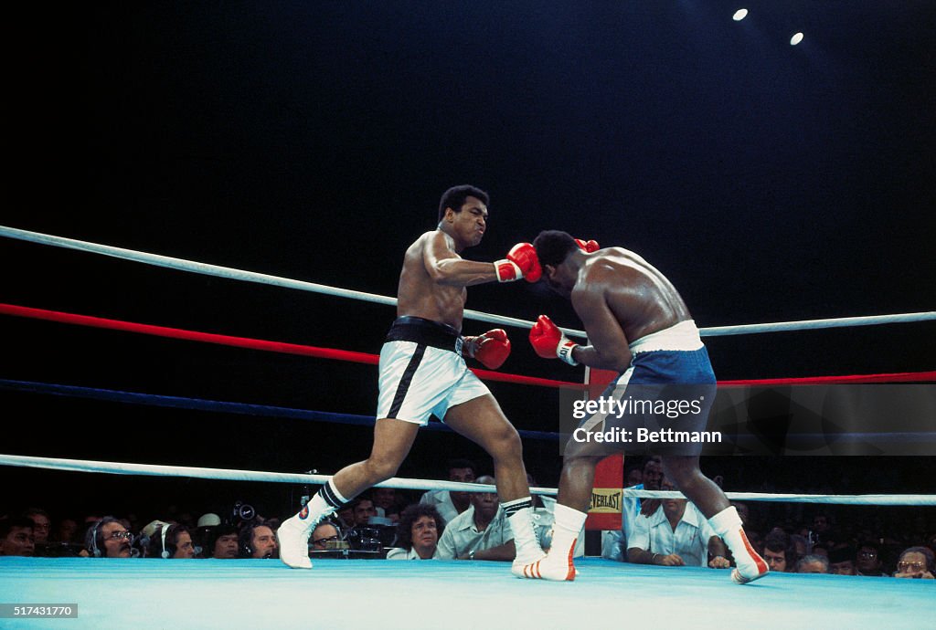 Muhammad Ali and Joe Frazier Boxing