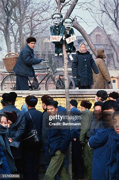 Peking: Effigies hang from tree as Chinese people read wall posters denouncing "Gang of Four."