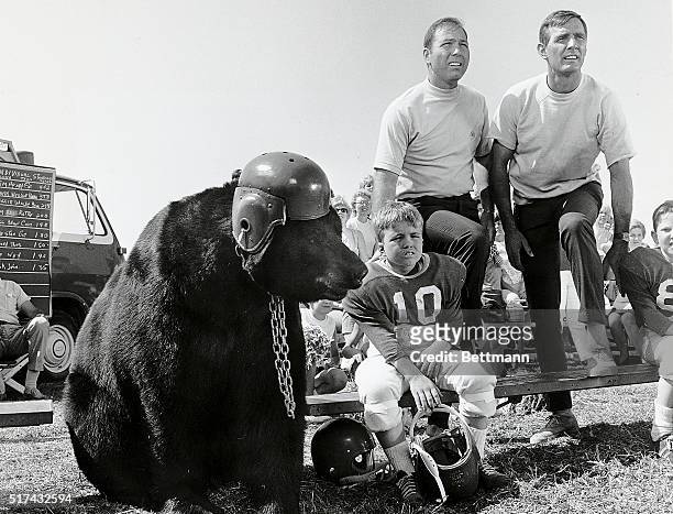 Scene from the television series "Gentle Ben," with our friend Ben the bear wearing a football helmet as his boy pal, Mark Wedloe sits on the bench...