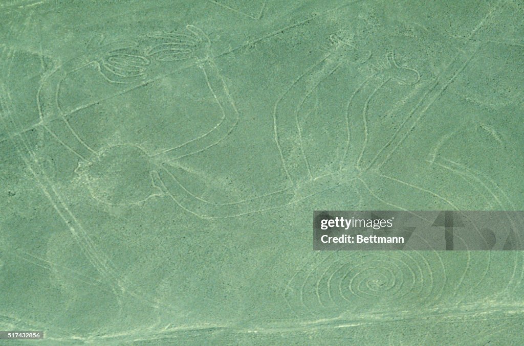 Aerial View of "The Monkey" Nazca Lines