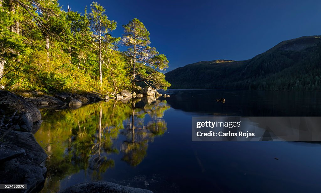 Morning reflections