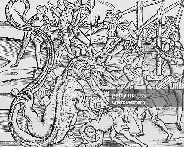 26 Marcus Regulus Stock Photos, High-Res Pictures, and Images - Getty ...