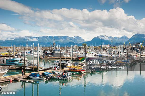 boats docked in alaskan water - kenaihalvön bildbanksfoton och bilder