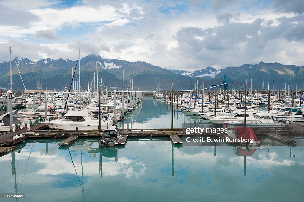 Docked boats