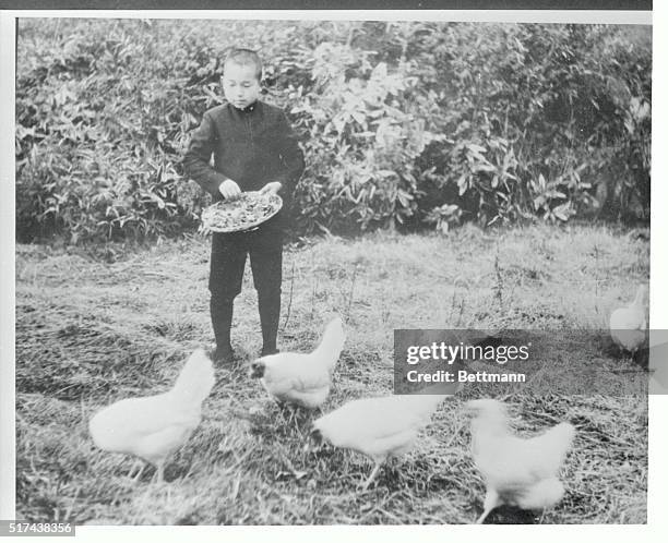 After his day's work at the Peer School is finished, Crown Prince Akihito, heir to the throne of Japan, relaxes by feeding chickens in the palace...