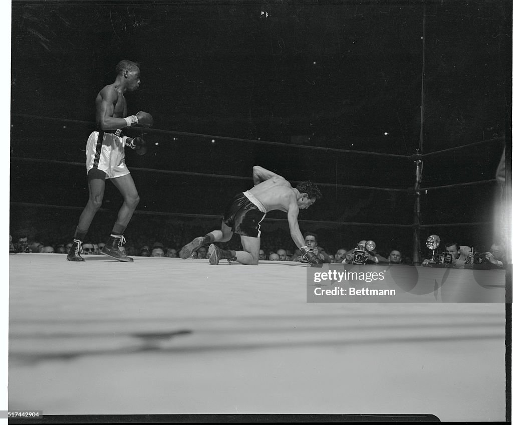 Willie Pep Attempting to Rise up from Sandy Saddler's Blow