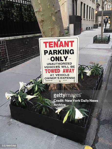 The famed singer Madonna, is in hot water after her minions concocted a scheme to steal public parking spaces by posting "Tenant Parking Only" in...