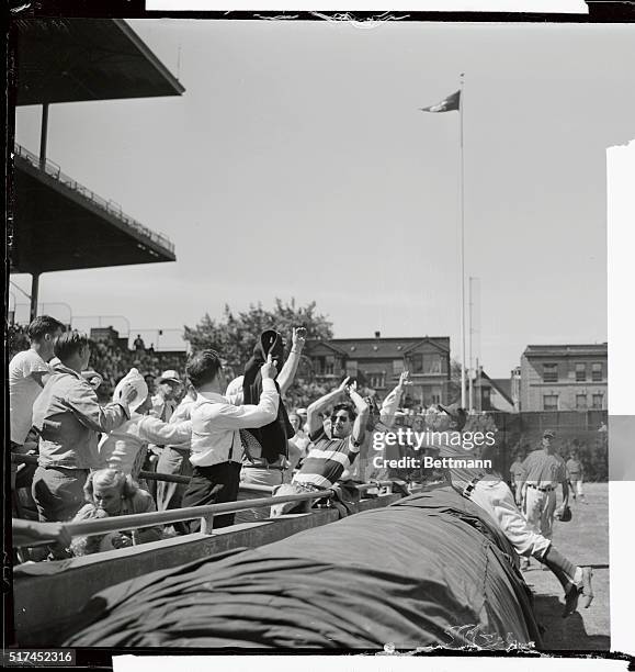 Stan Hack, Cubs' third baseman, couldn't quite reach Pirates' pinch-hitter Bill Salkeld's foul into the box seats in the 9th inning of...