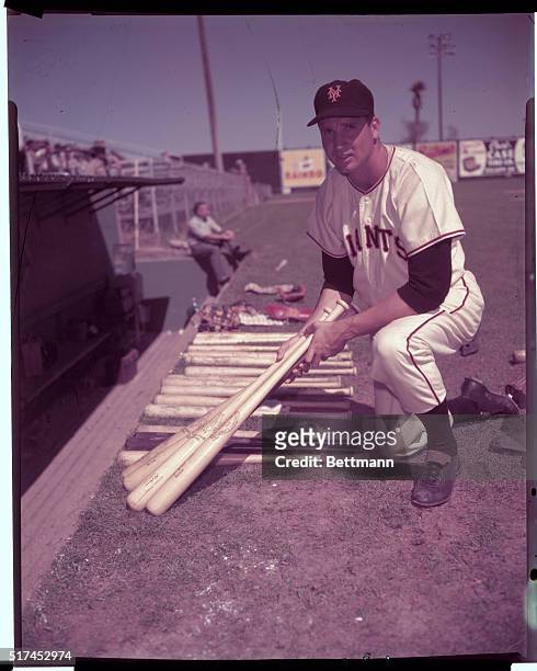 Bobby Thomson, Giants baseball player, smiling as he holds baseball bats over his shoulder.