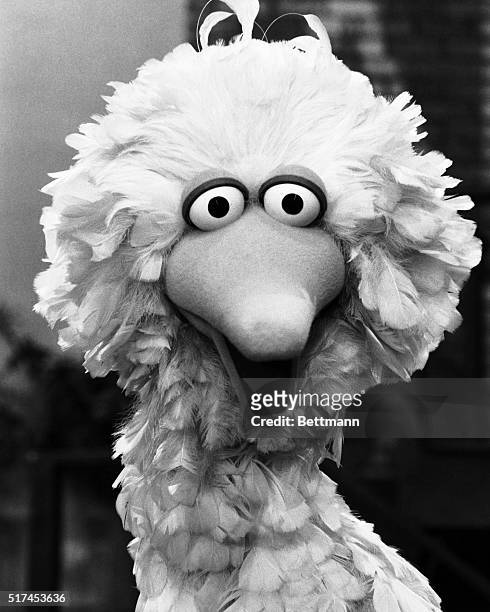 Big Bird was a character on the TV show Sesame Street, circa 1969.