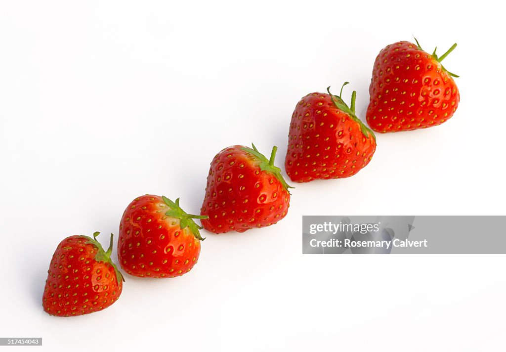 Ripe strawberries arranged in a diagonal row.