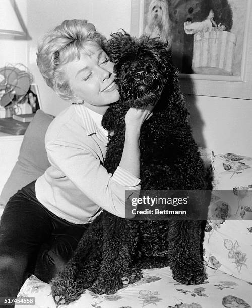 "Since you're such a good doggy, suppose you just sit up here and have your picture taken?" purrs Doris Day to this fortunate canine. Oh for a day's...