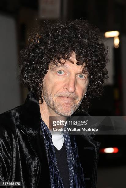 Howard Stern attends the Broadway Opening Night Performance of 'Bright Star' at the Cort Theatre on March 24, 2016 in New York City.