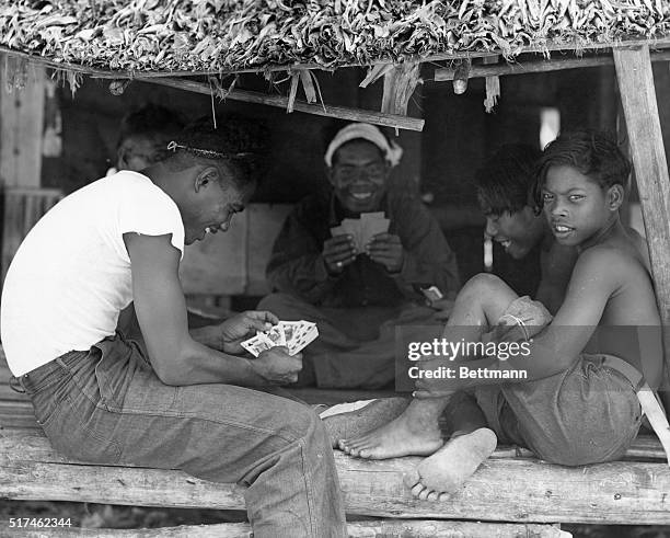 Rongerik Island: Natives Make Contribution To Atom Bomb Tests, Transfer From Bikini To Rongerik Atoll. As their contribution to the success of...