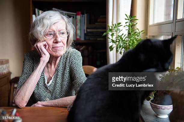 senior woman looking out the window - cat back stockfoto's en -beelden