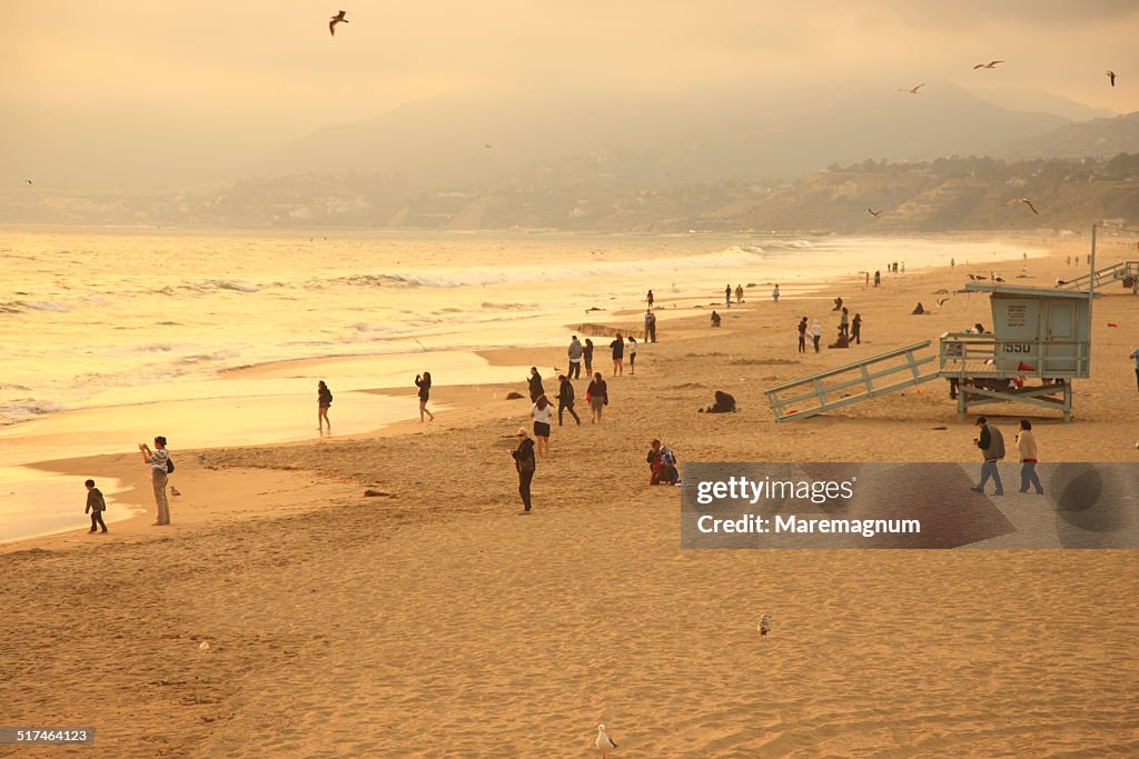 Santa Monica, the beach