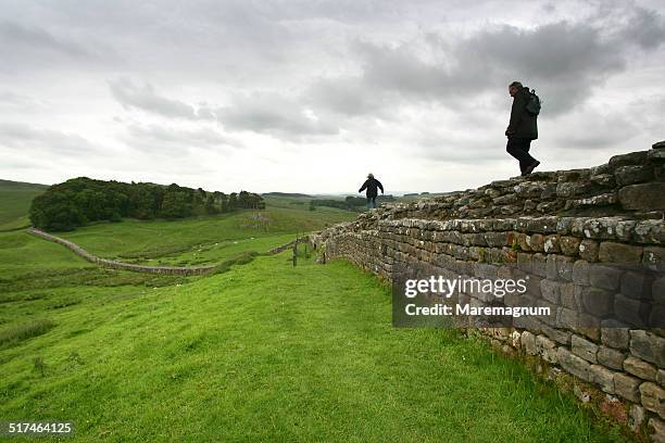 hadrian's wall - hadrians wall stock pictures, royalty-free photos & images
