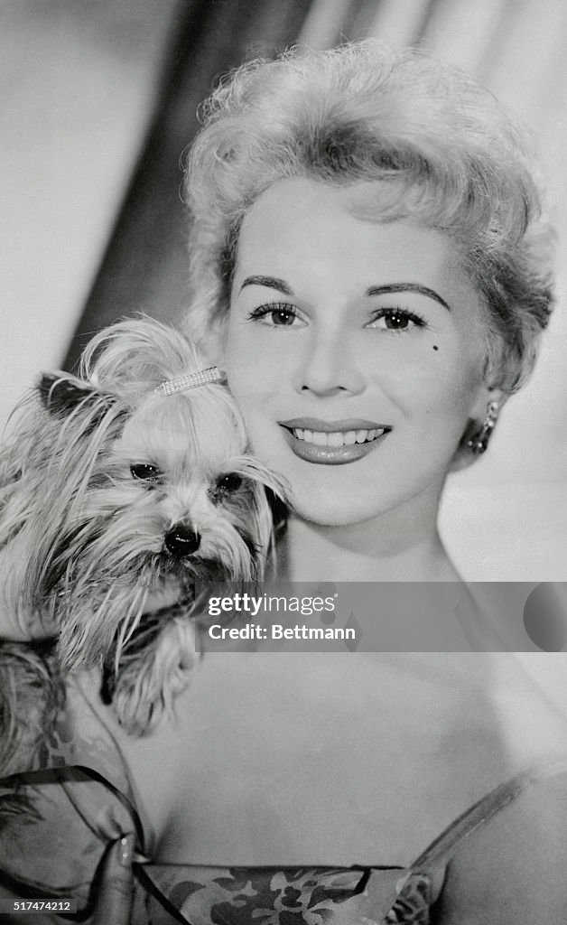 Portrait of Eva Gabor