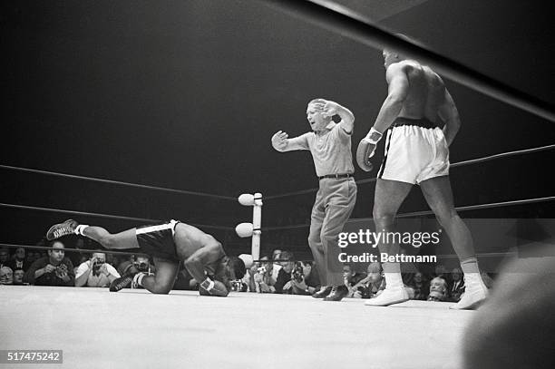 Floyd Patterson topples to the canvas in the sixth round of his title bout with heavy weight Champion Cassius Clay, November 22. The ex-champion, who...