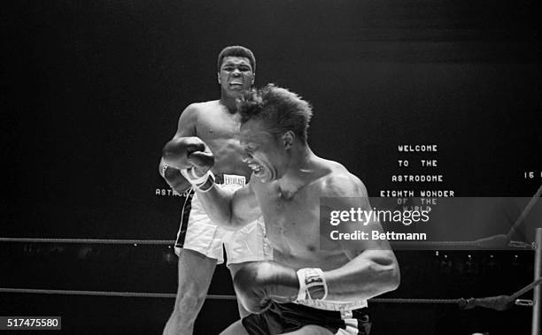 Boxer Cleveland Williams collapsing in the 3rd round of the 1966 fight with heavyweight champion Muhammad Ali. Ali scored 3rd round TKO to retain the...