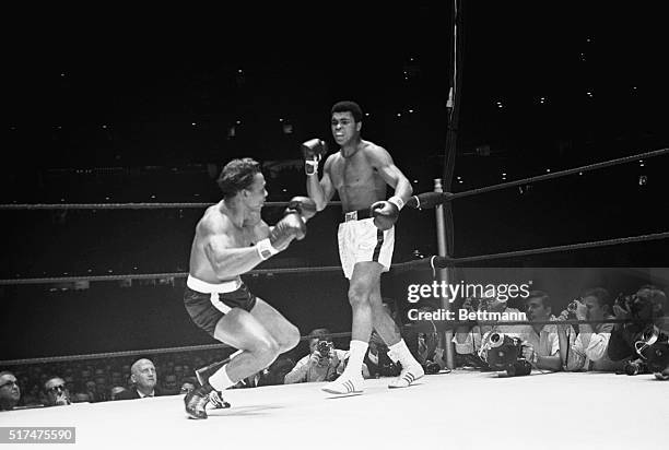 Heavyweight champion Cassius Clay stands over challenger Cleveland Williams as Williams starts down in the 3rd round of their title fight here. Clay...