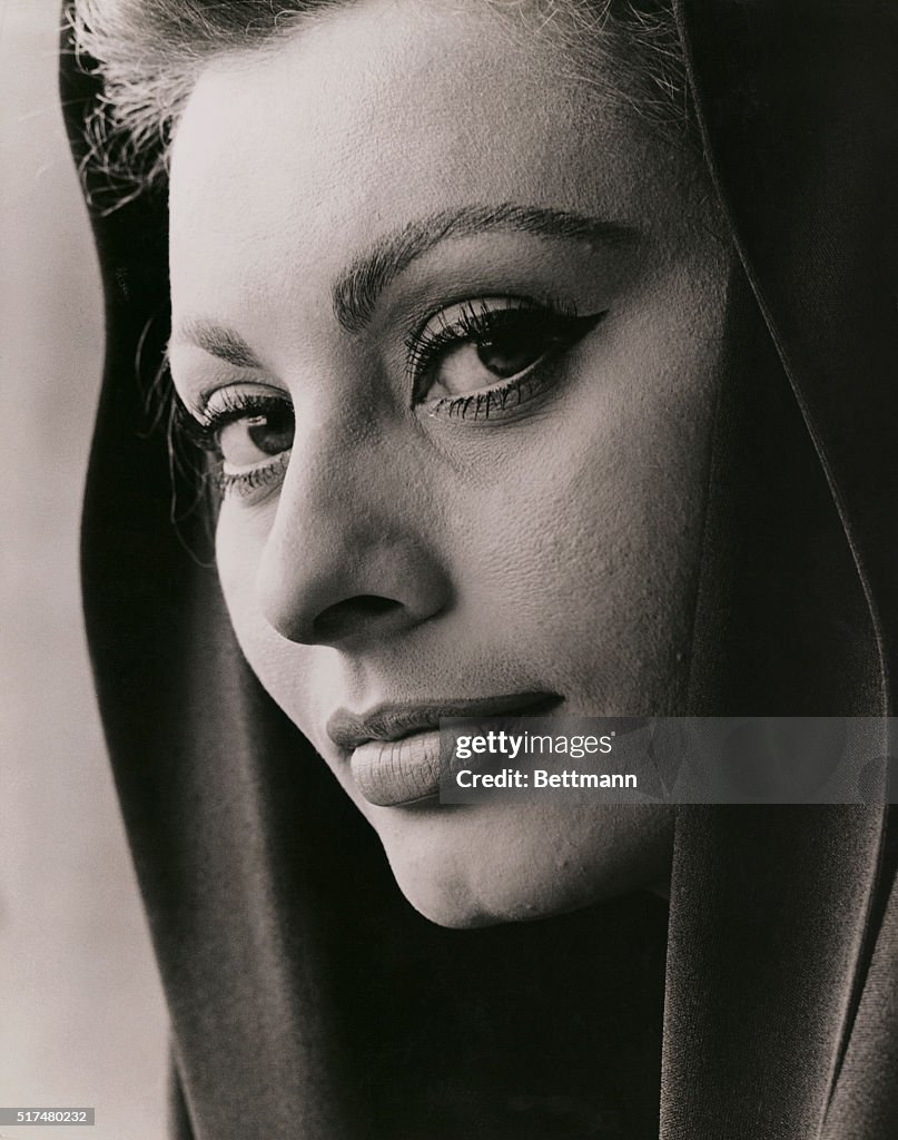 Portrait of Sophia Loren