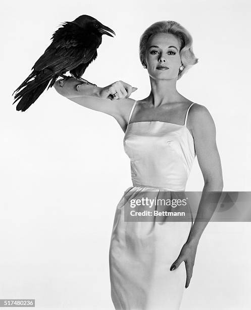 Hitchcock Discovery* - Tippi Hedren poses prettily with Buddy, the Raven, between scenes of Alfred Hitchcock's The Birds, based on the classic...