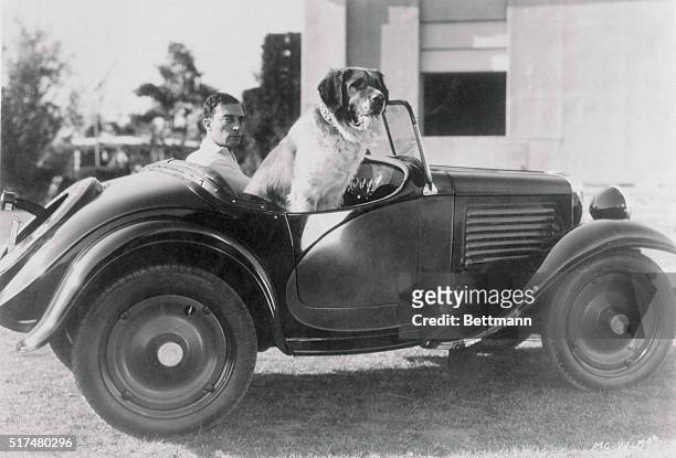 Buster Keaton , MGM star, takes his dog, Consentido, out for a ride in his miniature car.
